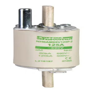 Предохранитель 1E AM 250 (ШНАЙДЕР) Предохранитель 1E AM 250 (ШНАЙДЕР)