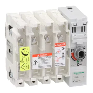 Schneider Electric TeSys GS GS2JB4 100 А 4P A4, рубильник с предохранителем (ШНАЙДЕР) Schneider Electric TeSys GS GS2JB4 100 А 4P A4, рубильник с предохранителем (ШНАЙДЕР)