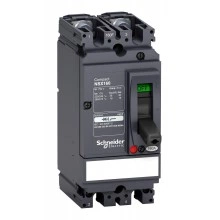 Выключатель-разъединитель Schneider Electric Compact NSX 160, 2P, 160А