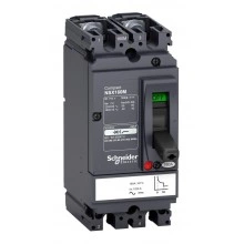 Силовой автомат Schneider Electric Compact NSX, 40кА, 2P, 125А